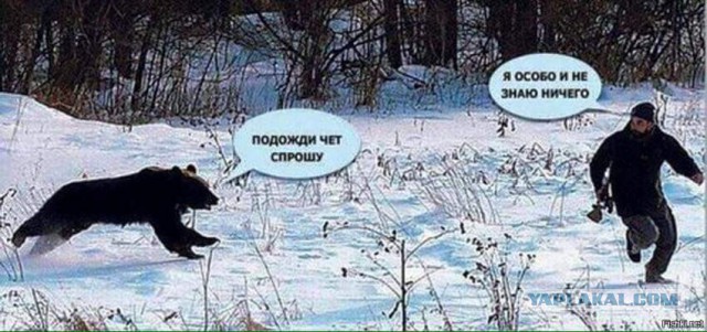 40 улыбательных картинок