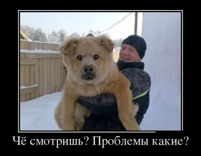 Демы без Темы