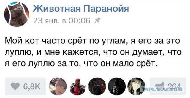 Ужасы и приколы из соцсетей 18+