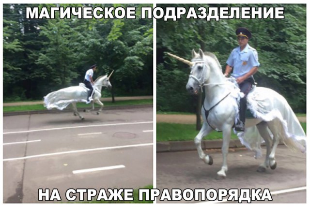 Смешные и не очень картинки из этих ваших интернетов