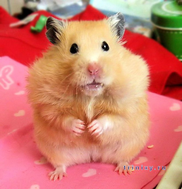 Работаю в РЖД, сегодня раздали вот такие заявления №2