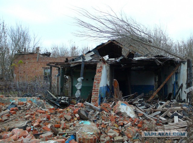 20 век в цвете. Расцвет Застоя или какой была наша страна 40 лет назад