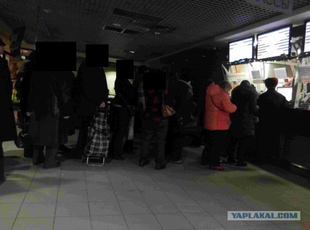Обязательный поход в кино