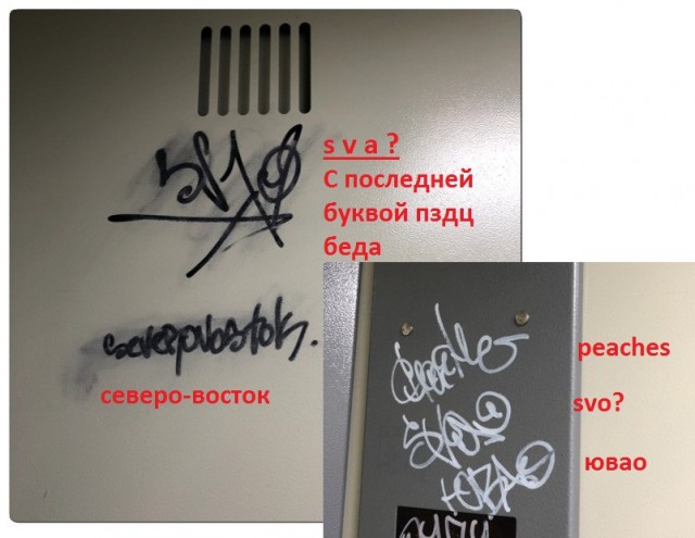 Тайна покрытая мраком