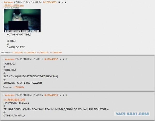 Нестандартный юмор
