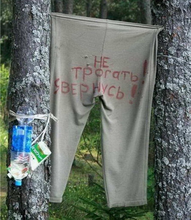 Смешные объявления, надписи и вывески