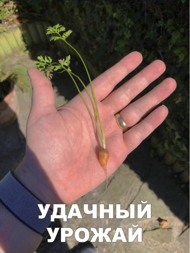 Нестандартный юмор