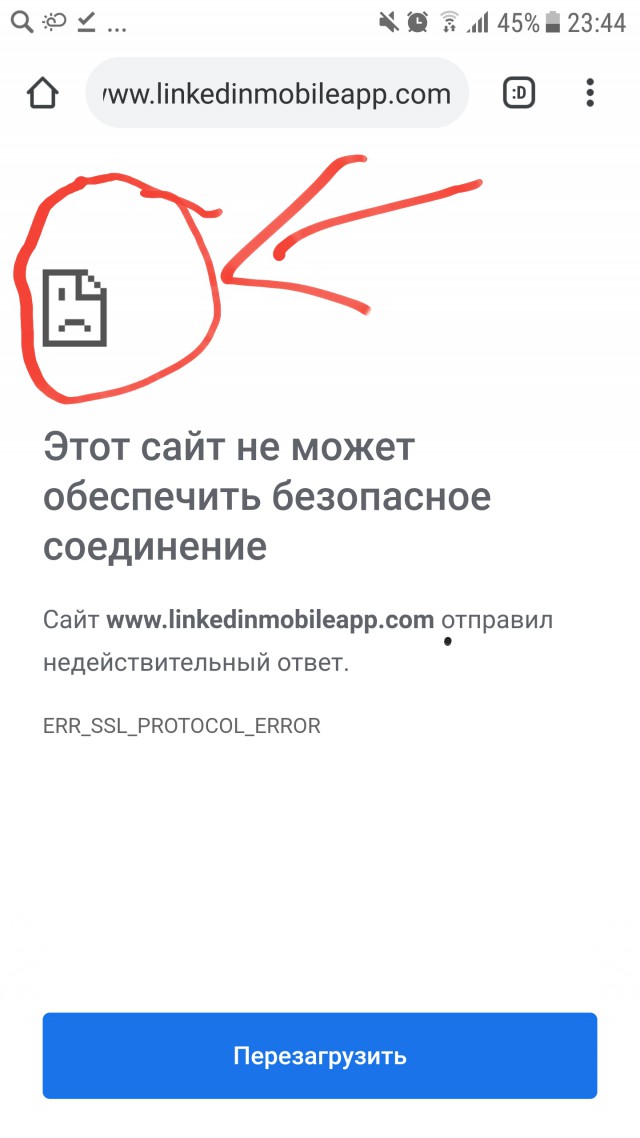 Зря грешите на челябинских мужиков