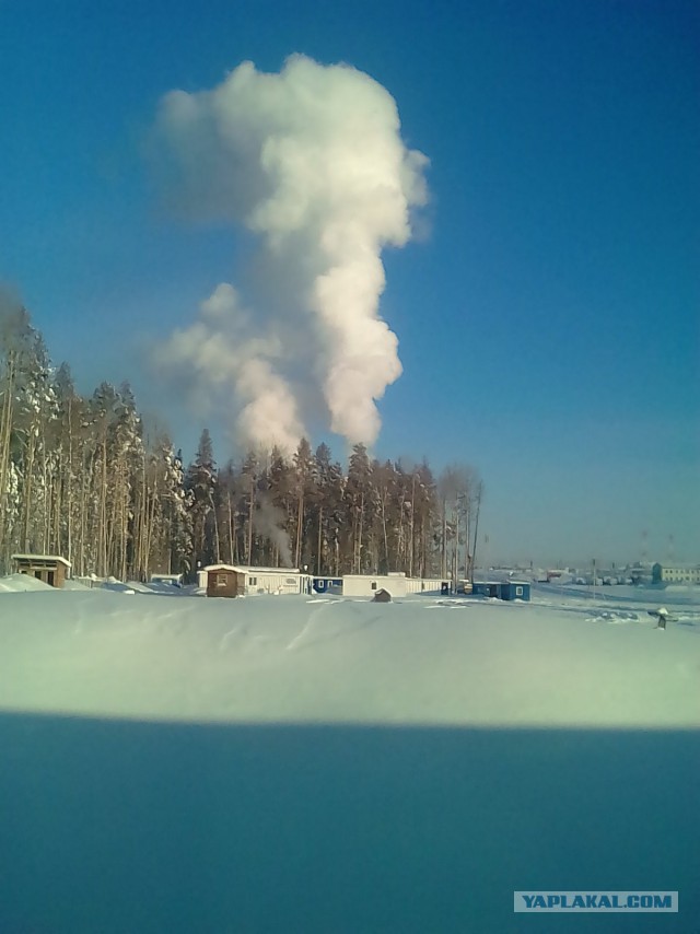 Скоро Новый год!