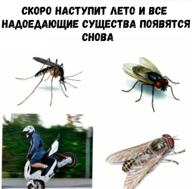 Немного картинок для настроения