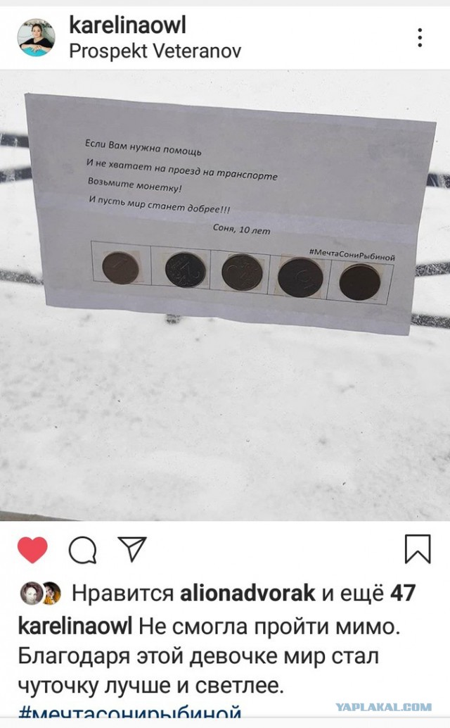 Мечта Сони Рыбиной