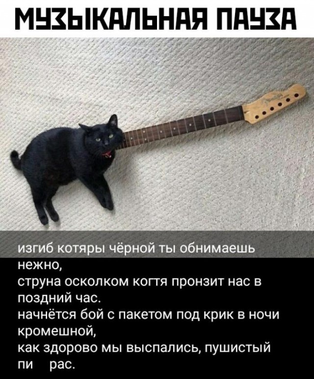 Кретинки 12.01.20