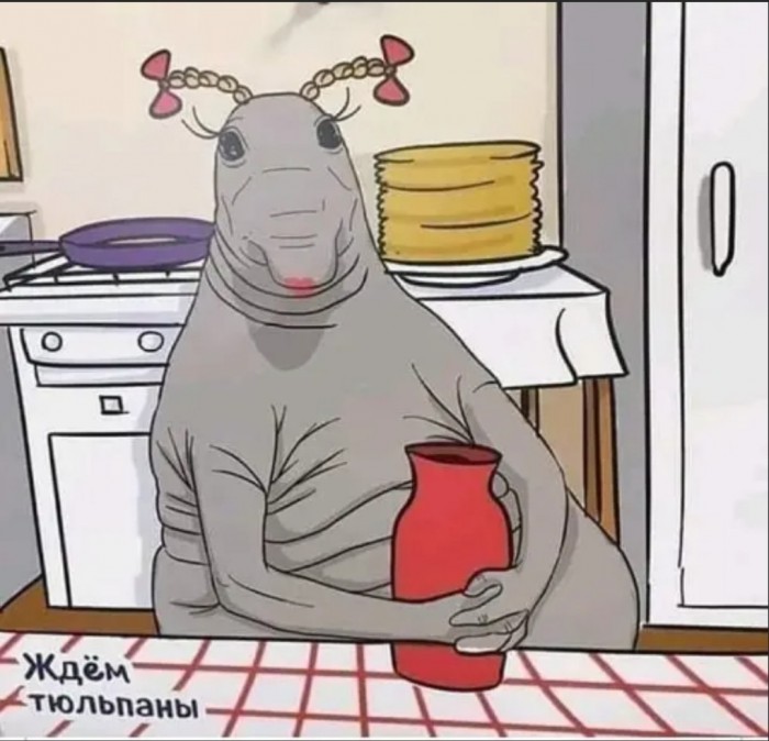 Бредзона 08.03.20