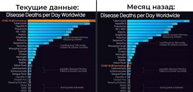 Не сдержался. О нарушениях самоизоляции