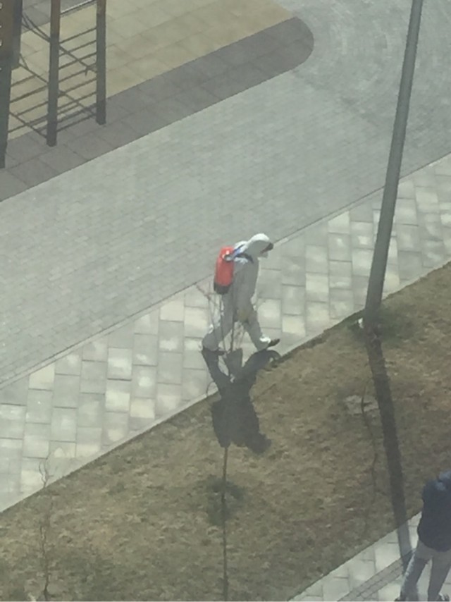 Почему жену надо брать из другого города