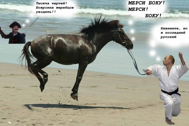 Фотожаба дня: Летающий конь