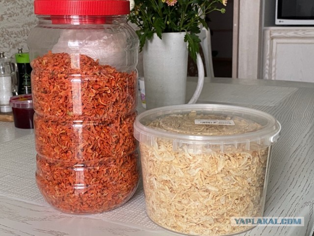 #ДРЯПнем! Чалдонские кнышики с луком и морковью