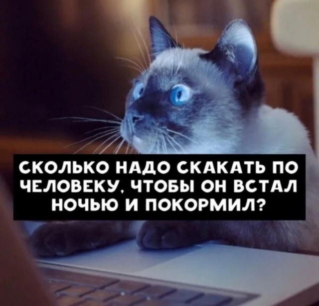 Чуток картинок 29.05.20