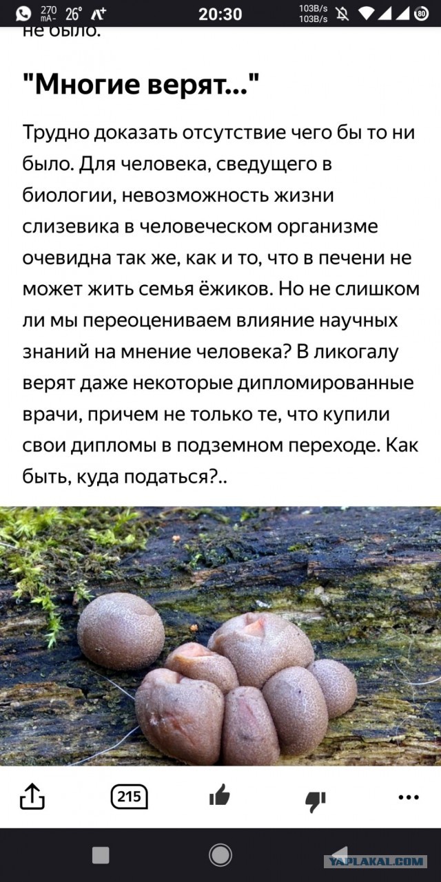 Вы там это... держитесь Москвичи. В Подмосковье появились грибы-убийцы. Их нельзя даже нюхать