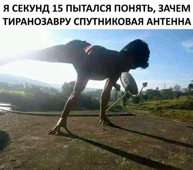 Картинки и мемы для настроения 233