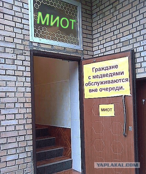 Фотожаба: Хочешь меда - бери с собой медведя