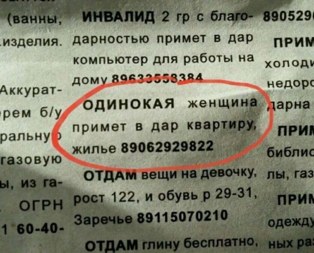 Бабсятина