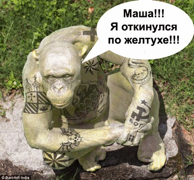 Фотожаба: Всю жизнь за решеткой