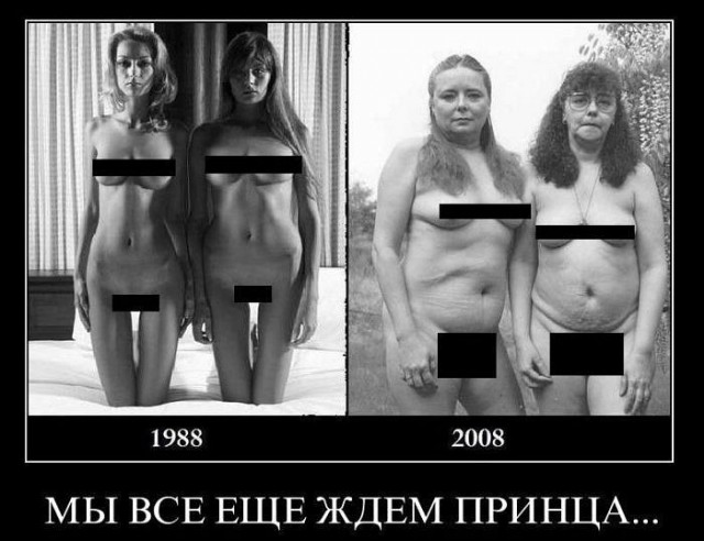 Баяны в чёрных рамках