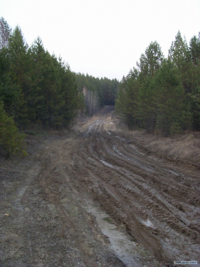 На Шершни в глиноговны