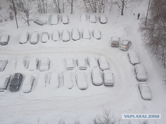 Про "Кто снег чистил и чьё место"