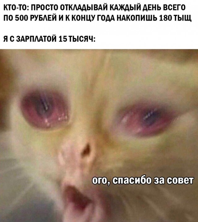 Весёлый полтишок 4.03
