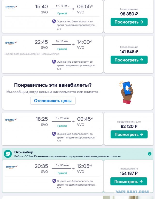 Пассажирка рейса Екб-Москва не смогла купить билет своему коту и оставила его в аэропорту