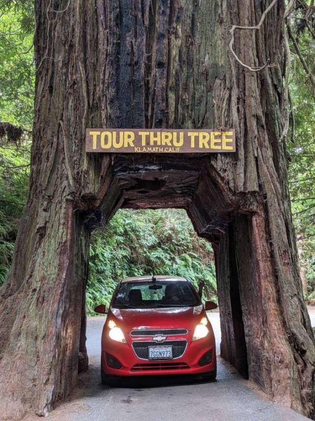 Картинки и мемы для настроения 05.08.2021