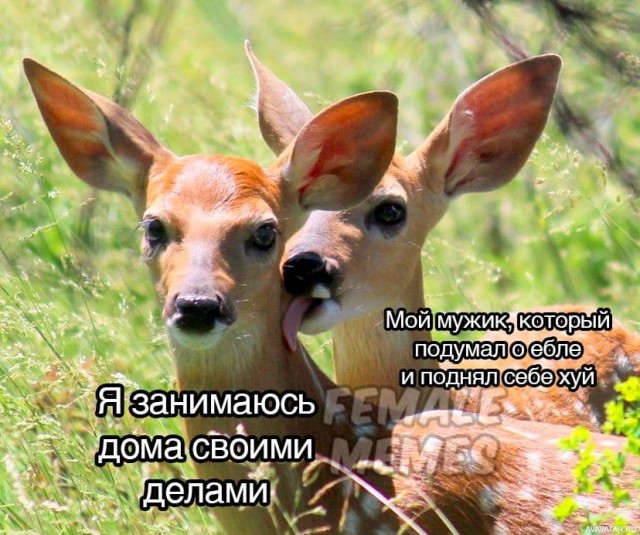 Мемасы (Пошлятина и мат)