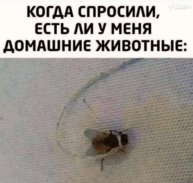 Картинки и мемы для настроения 19.10.2021