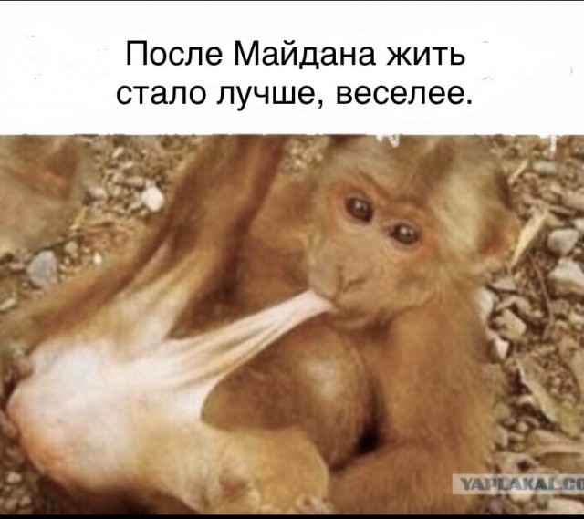 Годовщина Майдана!