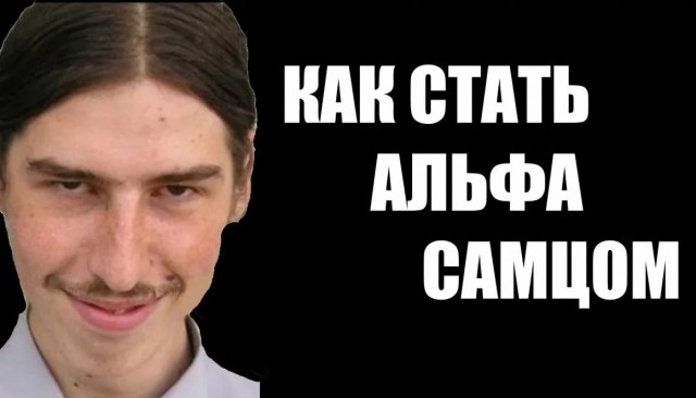 Разбавить политу на ЯП