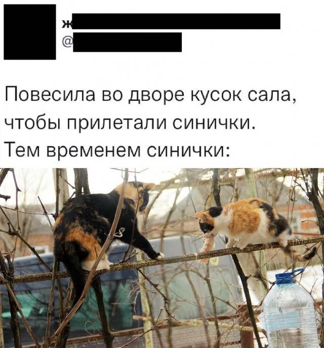 Так себе картинки 16.02.22