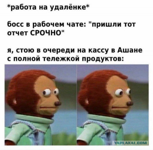 Картинки с надписями и всякие жизненные фразы