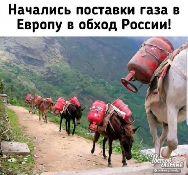 Пандемия. Коронавирус и съехавшие крыши. Россия и мир. Часть 31.
