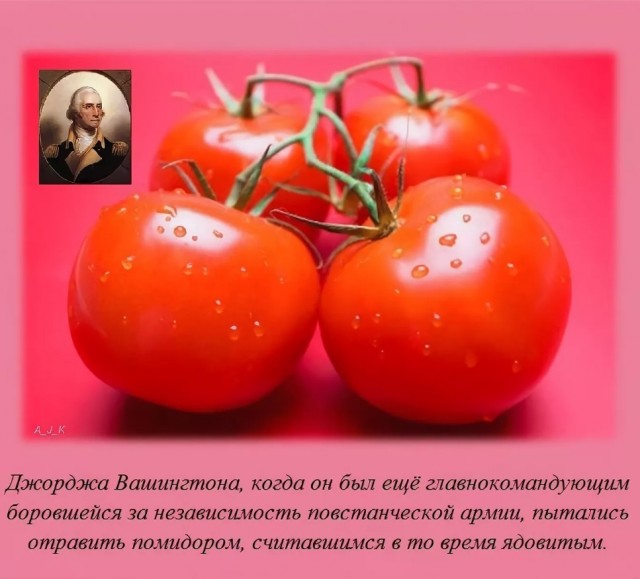 70 удивительных фактов