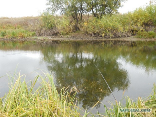 Рыбалка. Болхуны.