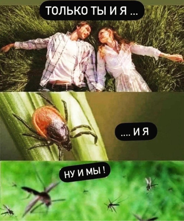 Картинки с надписями и всякие жизненные фразы