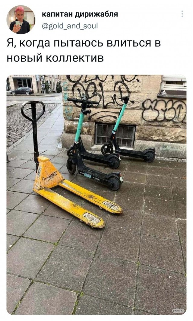 Немного баянов вам в ленту