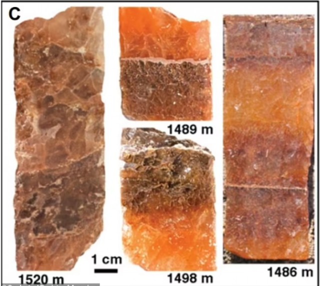 Ученые хотят оживить микроба, спавшего миллиард лет