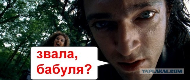 Нападение добермана на бабку