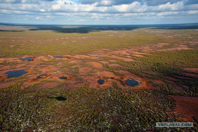 Болото Судд