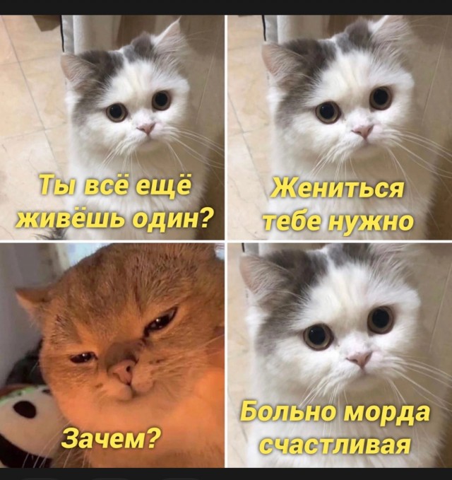 "Таблица оценки мужей" - да кто такой этот чертов Жоффрей?!