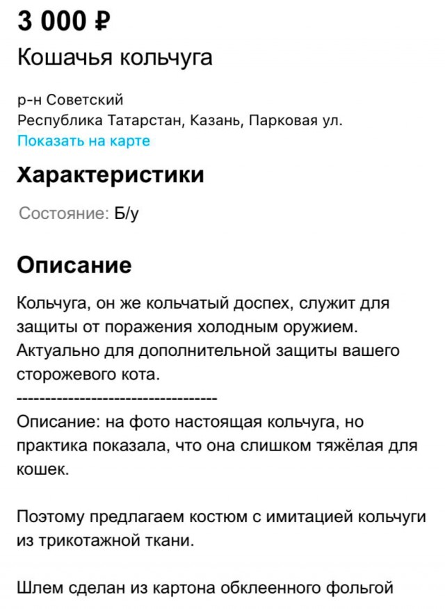 В Татарстане появилось объявление о продаже… кольчуги для кота