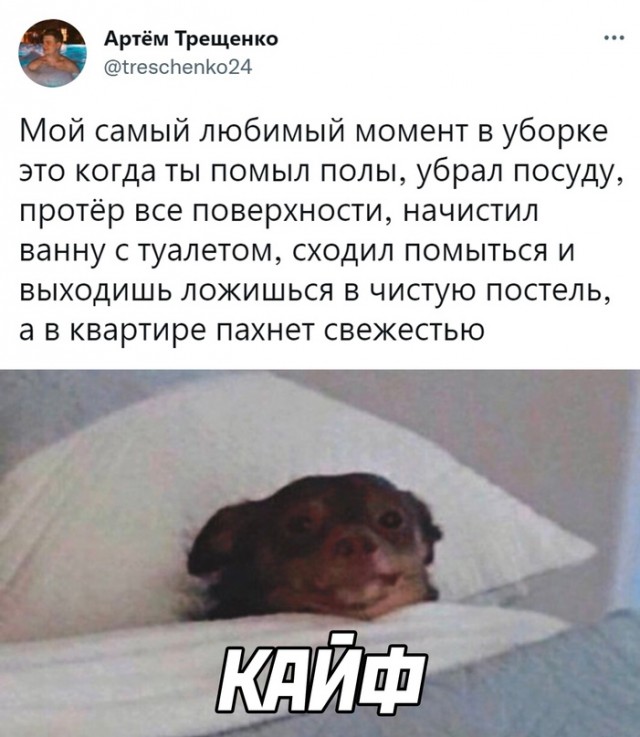 Картинки и мемы для настроения - 125
